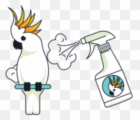 How To Give A Misting Bird Bath - BirdSuppliescom Cockatoo png