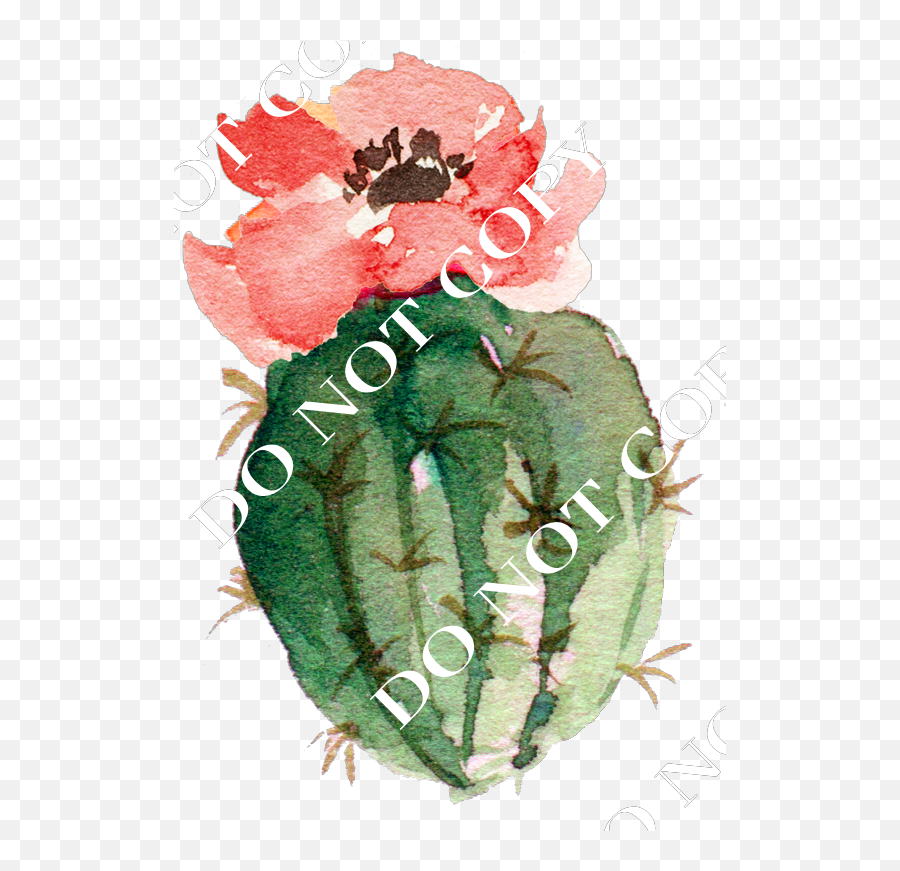 Download Cactus - Watercolor Cactus Png Png Image With No Protea,Watercolor Cactus Png