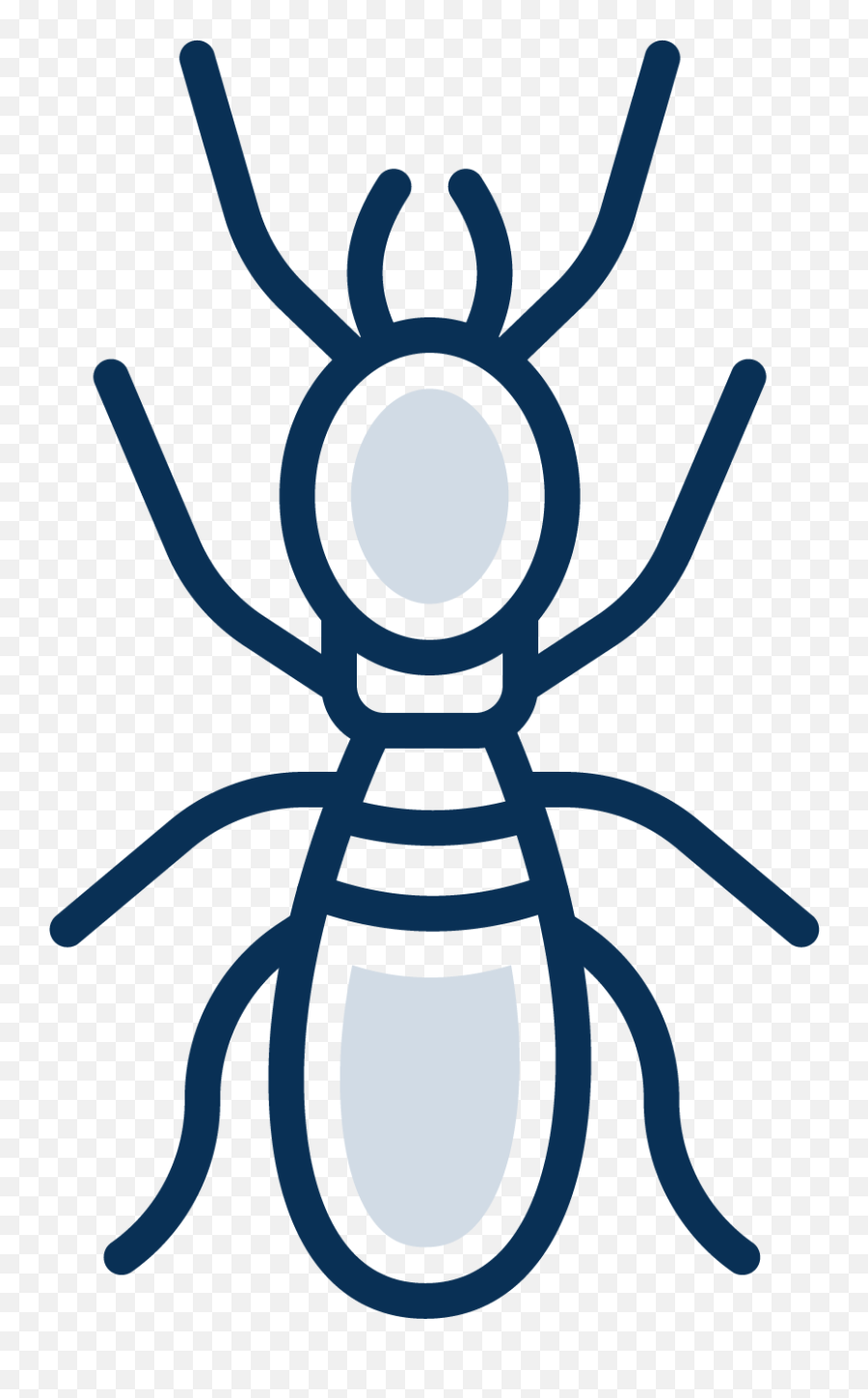 Termite Control Protect Your Home From Termites Today - Bee Png,Antd Icon