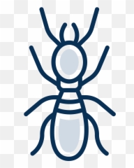 Termite Control Protect Your Home From Termites Today - Bee Png,Antd Icon
