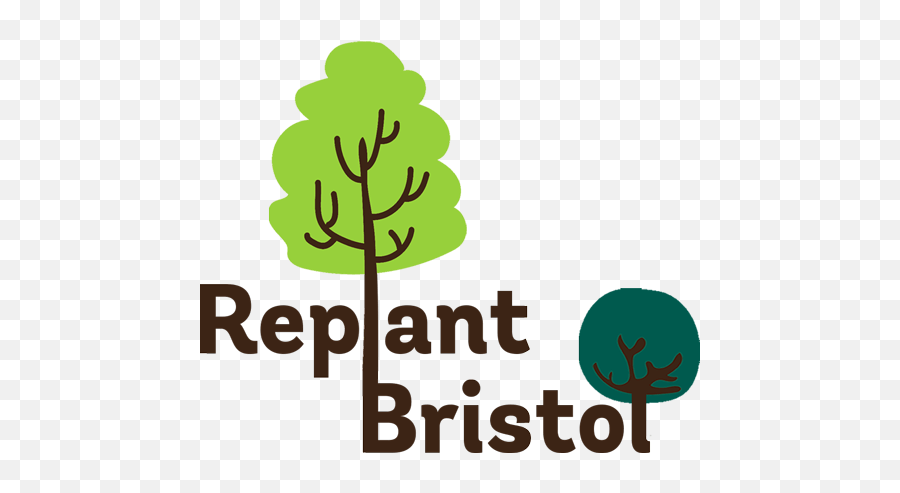 Replant Bristol Donate One Tree Per Employee - Bristol Png,Tree Canopy Png