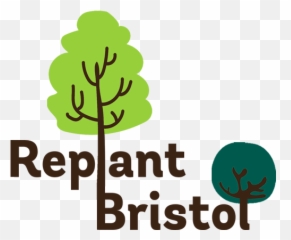 Replant Bristol Donate One Tree Per Employee - Bristol Png,Tree Canopy Png