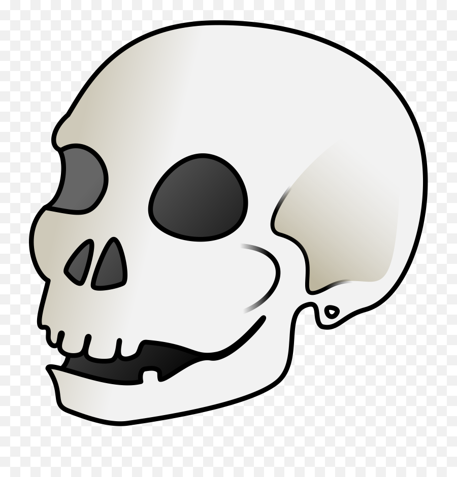 Skull - Skull Clip Art Png,Cartoon Skull Png