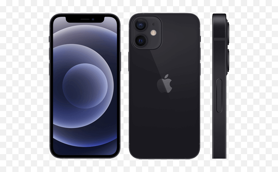 What Iphone Do I Have Check Your Model 3 Steps - Camera Phone Png,Iphone 4s Safari Icon White