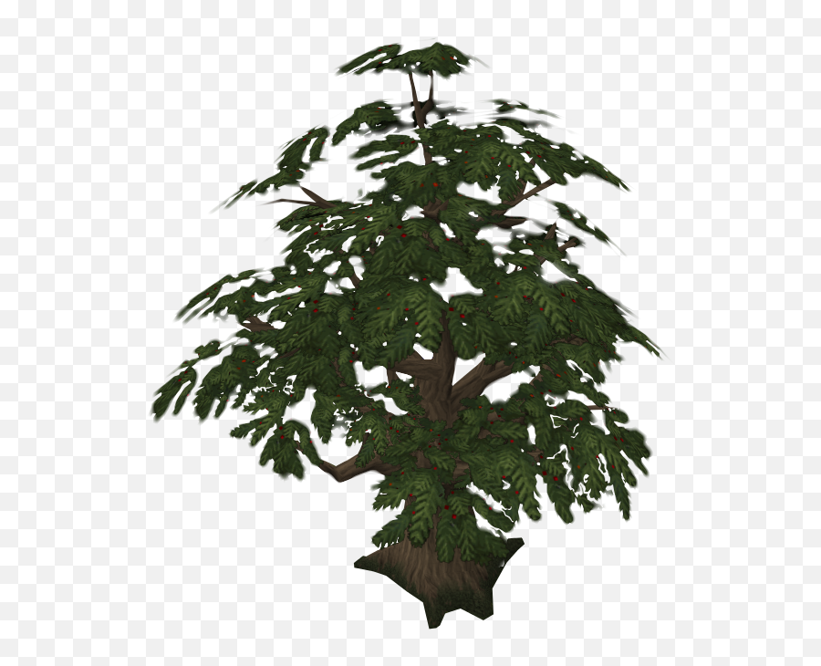 Yew - The Runescape Wiki Yew Tree Runescape 2007 Png,Cedar Tree Icon