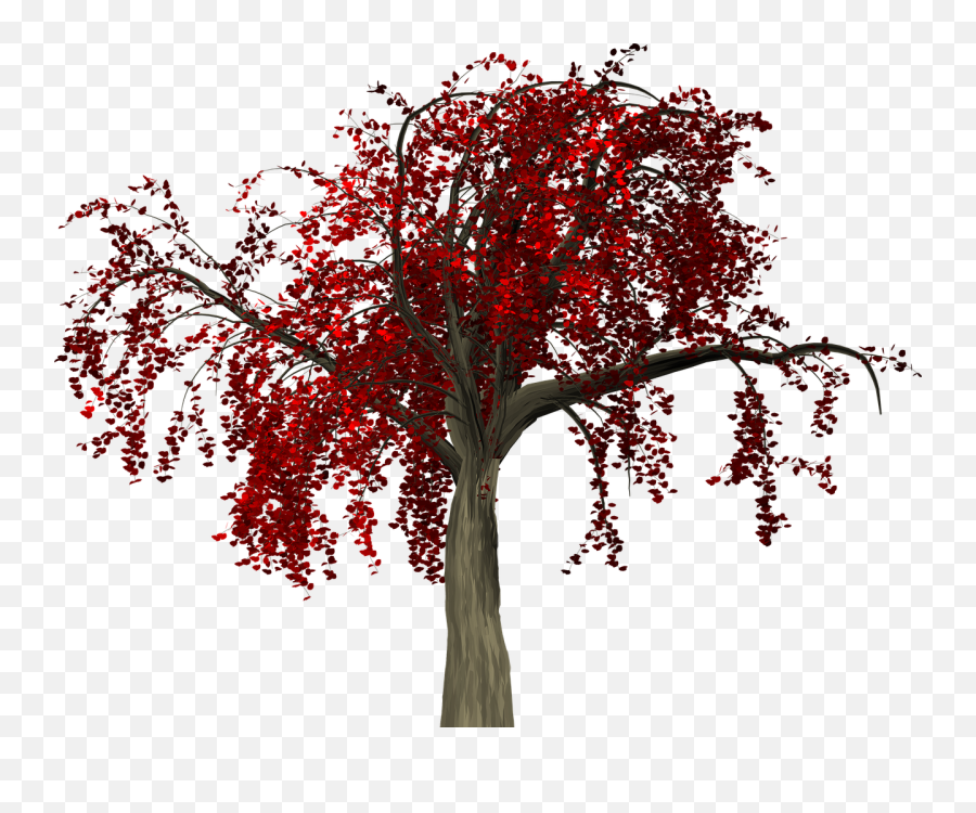 Tree Leaves Autumn - Png Autumn Tree,Red Tree Png