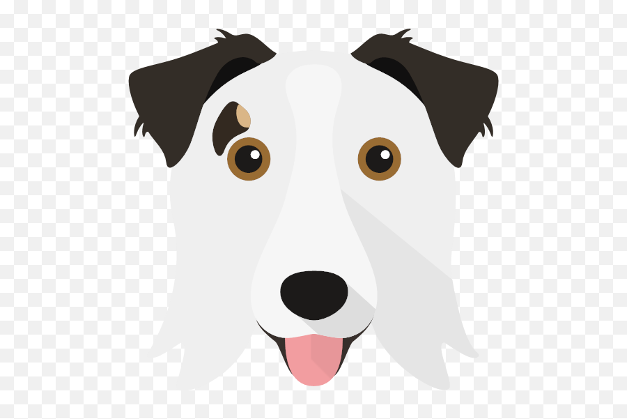 Create A Tailor - Made Shop Just For Your Border Collie Ancient Dog Breeds Png,Icon Border Collies