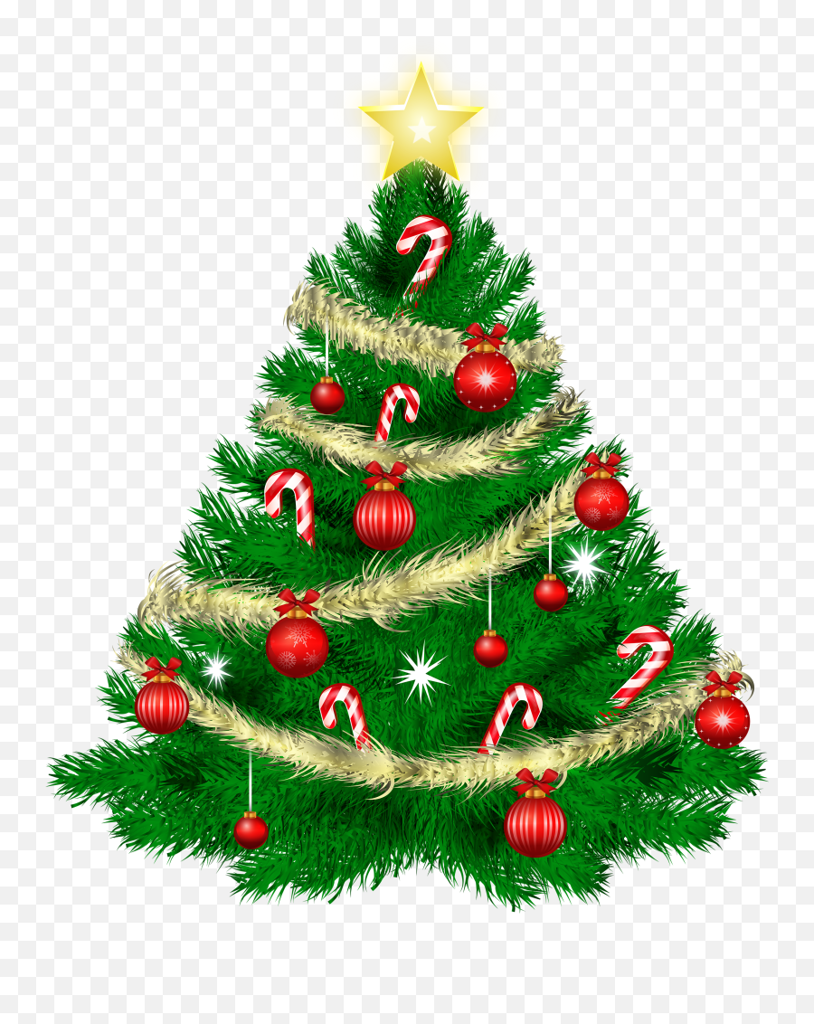Forest Grove Ffa U0026 Alumni Christmas Tree Recycling - Merry Christmas Tree Png,Forest Trees Png