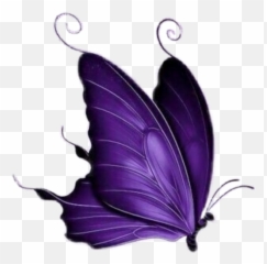 Mariposa Morada - Sticker By Chuxa1664 Stikers De Mariposas Moradas Png,Mariposa Png