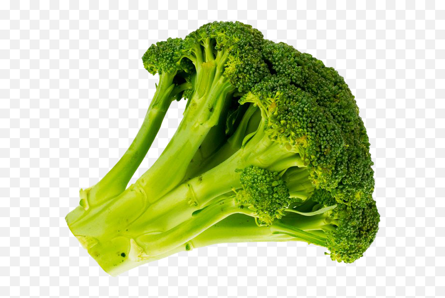 Green Broccoli Transparent Background - Vitamin B Vegetables Png,Broccoli Transparent