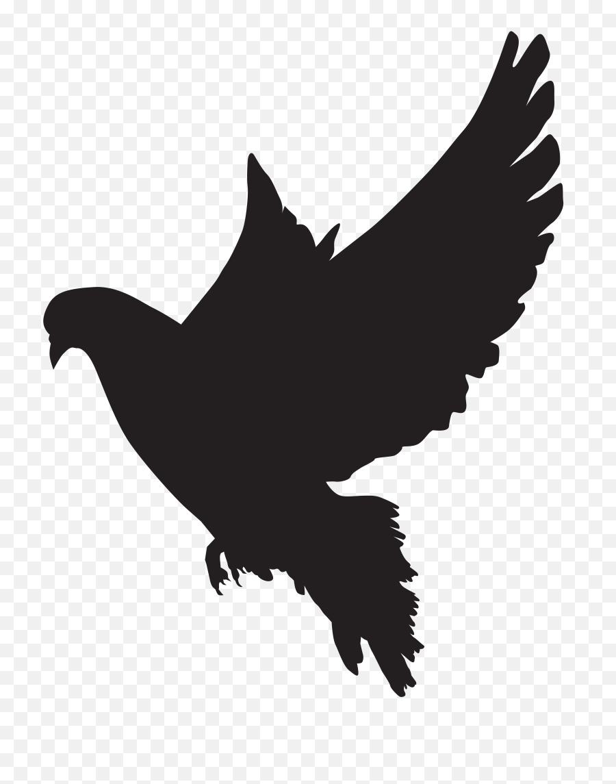 Black Bird Png Download - Bird Black Flying Png,Crow Transparent