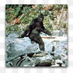 False Alarums Skating Under The Ice - Bigfoot Classic Pose Png,Sasquatch Png