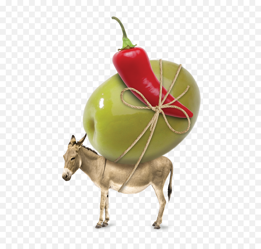 Unearthed Usa Chilli Olives - Transparent Background Donkey Png,Donkey Png