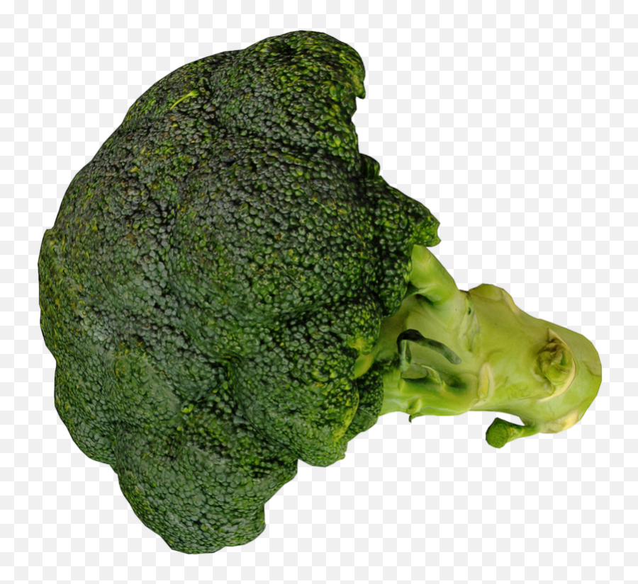 3d Scan Archives - Broccoli Png,Brocolli Png