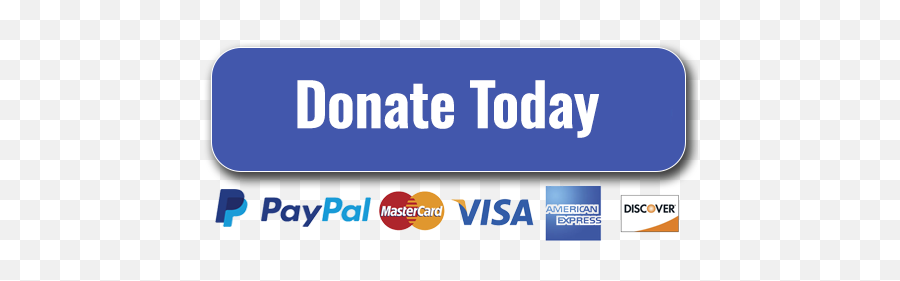 Paypal Donation Button Finished U2013 Faith Safety Network - Visa Png,Donate Button Png
