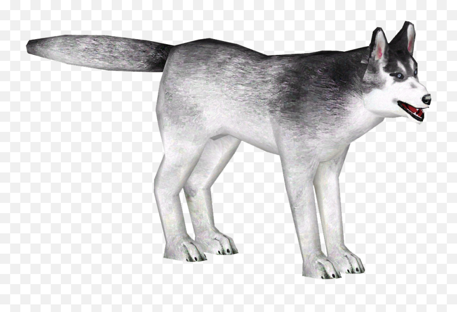 Siberian Husky Slice Zt2 Download Library Wiki Fandom - Cat Yawns Png,Husky Transparent
