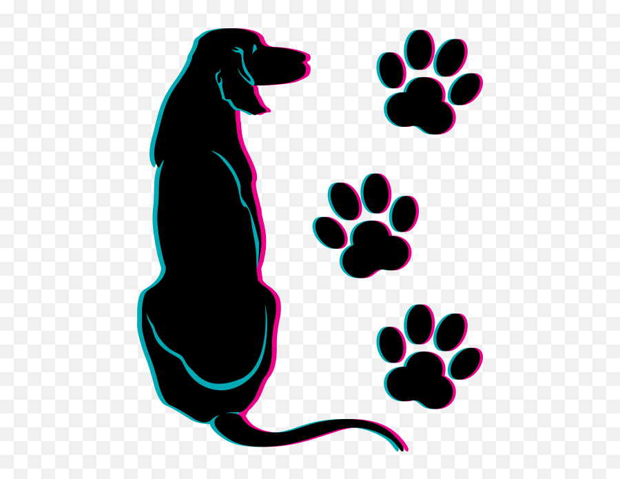 Head To Paws Mobile Dog Grooming Salon - Transparent Background Dog Paw Png,Dog Paw Png
