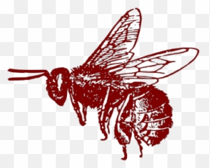 Honey Bee Png Svg Clip Art For Web - Bumble Drawn Black And White