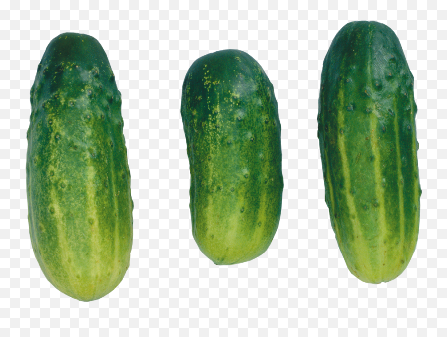 Cucumber Transparent Images - Pepinillo Png,Cucumber Transparent