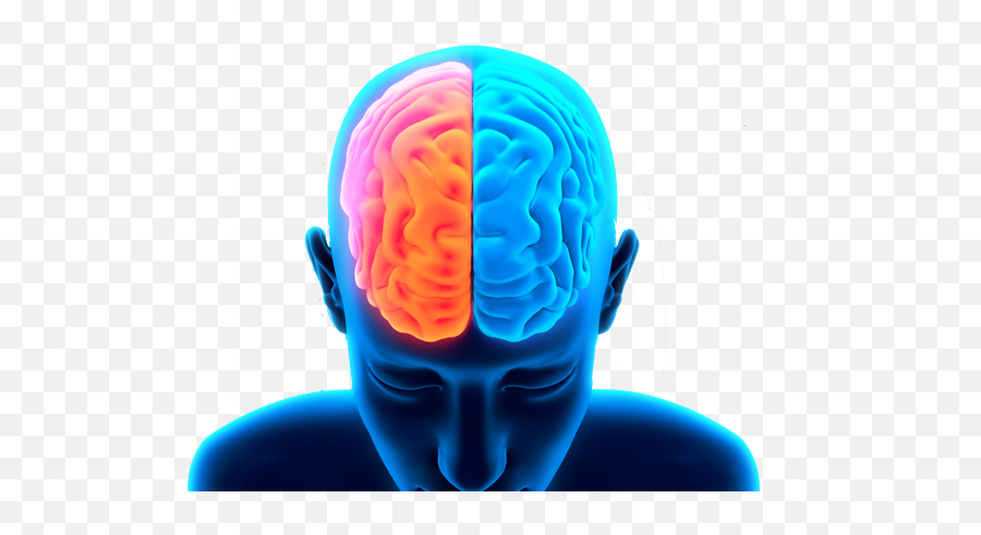 Peak Brain Performance Lake Como Memory Recall Dementia - Traumatic Brain Injury Png,Memory Png