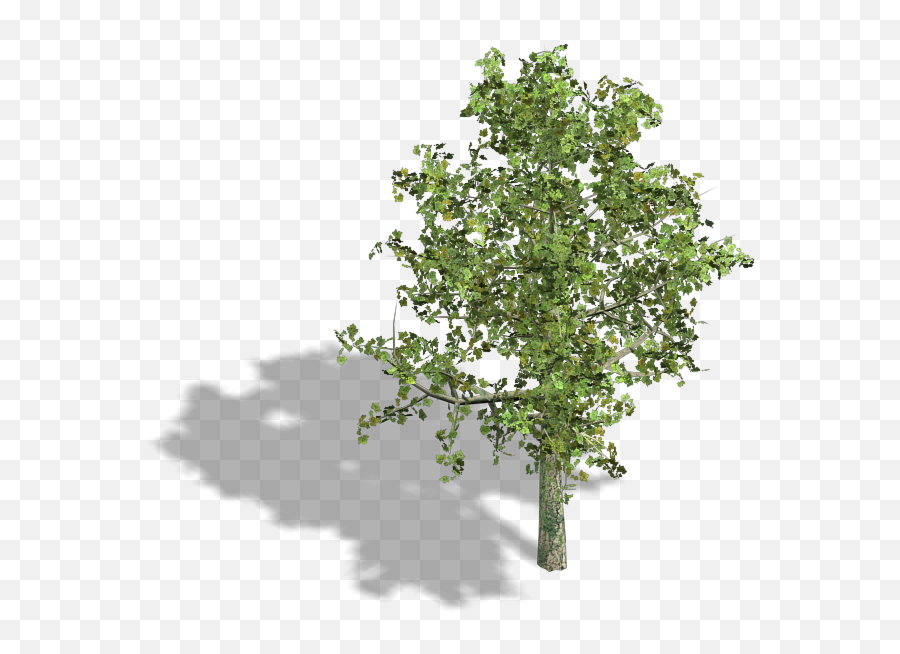 Tree Collection - Bleedu0027s Game Art Opengameartorg Axonometric Tree Png,Birch Tree Png