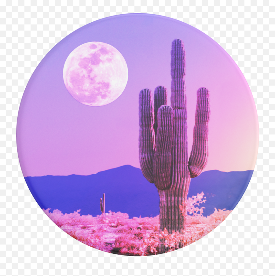 Cactus - Moon Png,Cactus Transparent