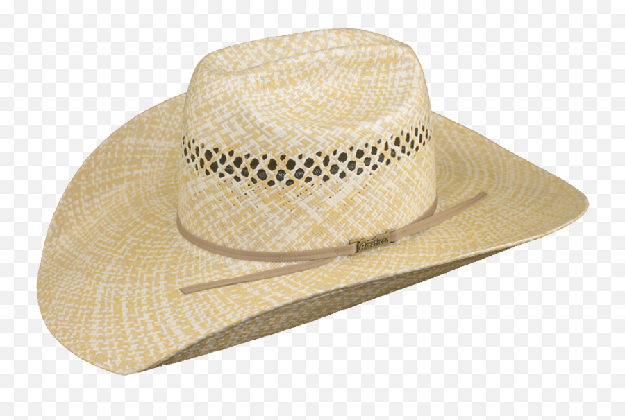 American Hat Straw - Science City Png,Fancy Hat Png