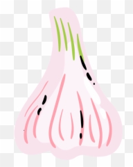 Meet Sam U2014 Go Garlic Free - Lovely Png,Garlic Png
