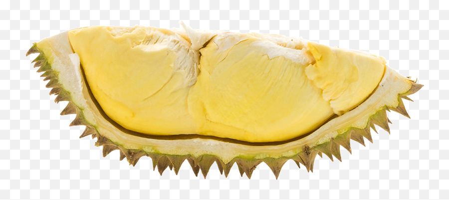 Download Durian Png - Saw Blade,Durian Png