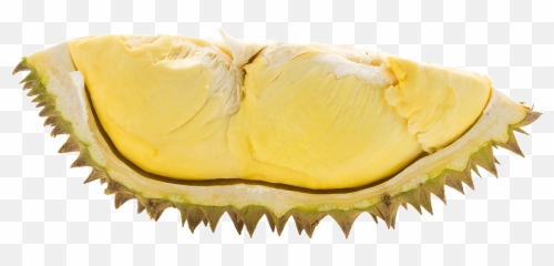 Download Durian Png - Saw Blade,Durian Png