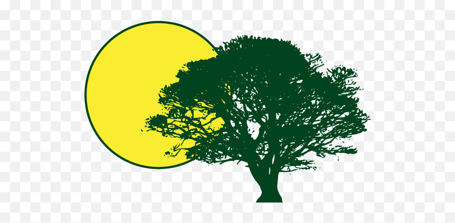 Sun And Shade Gadmin - Tree Silhouette Png,Shade Icon