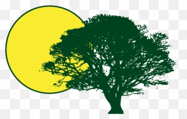 Sun And Shade Gadmin - Tree Silhouette png