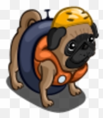 River Float Pug Farmville Wiki Fandom - Happy png