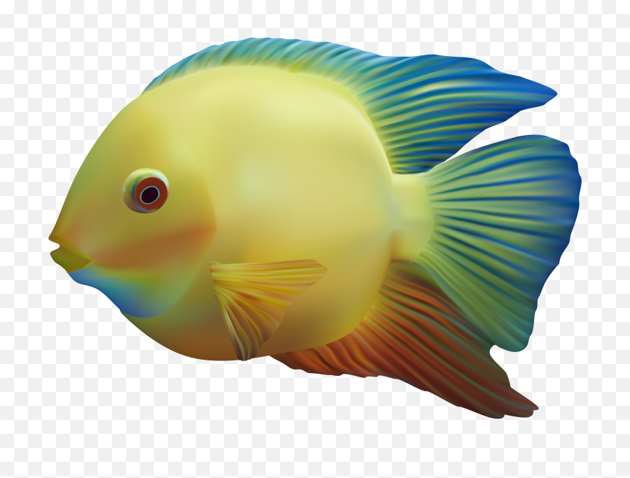 Exotic Fish Png Clipart - Transparent Ocean Fish Png,Fish Clipart Transparent