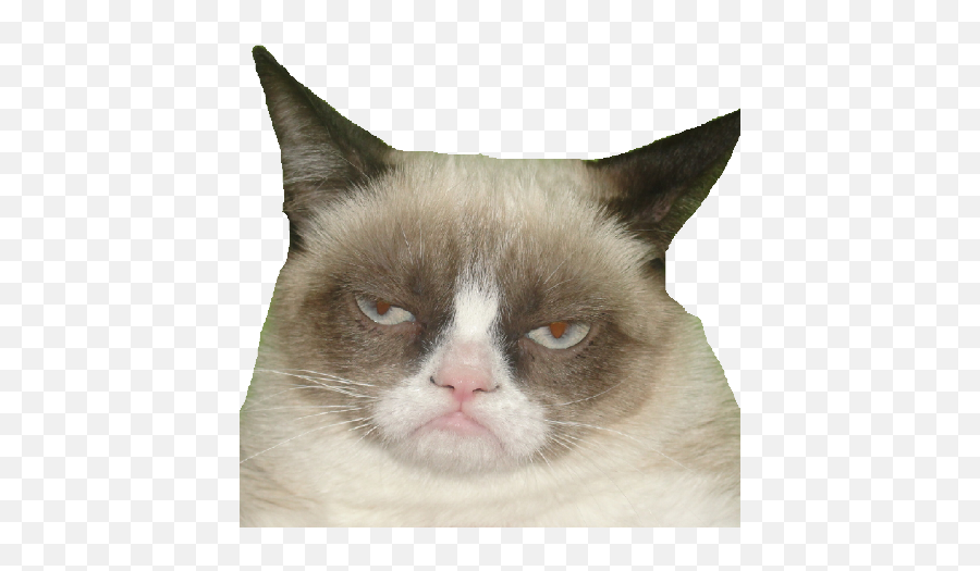 Adubry75 Andrew Dubry Github - Soft Png,Grumpy Cat Icon