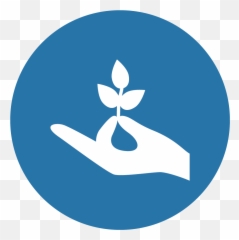 Download We Conceptualize Research And Launch Our Own Png Employers Icon