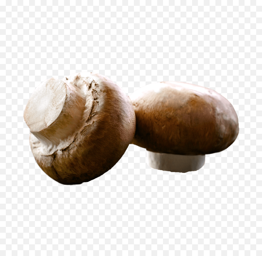 Download Hd Crimini Mushrooms Are Similar In Size And Shape - Mushroom Png,Mushroom Png