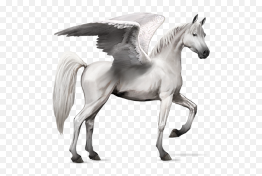 Horse Wings - Howrse Arabian Horse Transparent Png,Wing Png