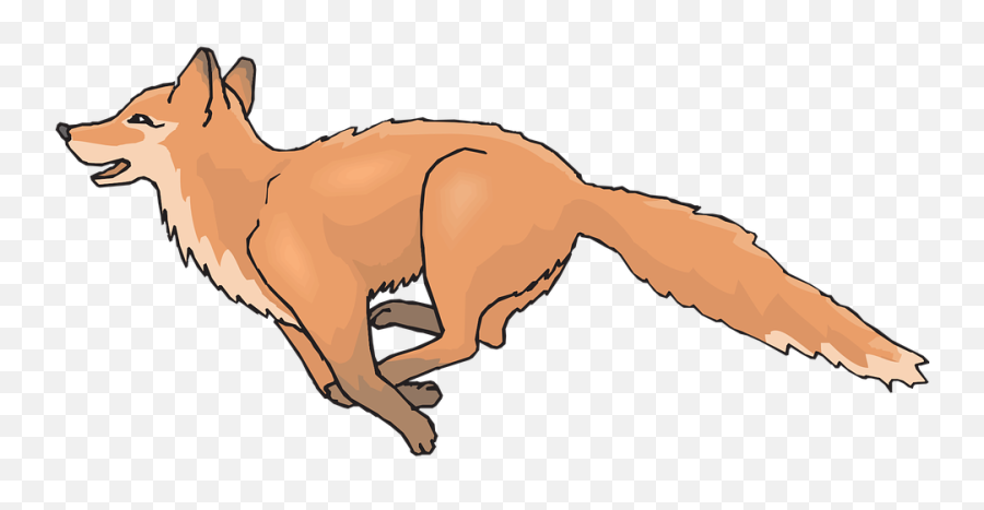 Orange Fox - Draw A Fox Running Png,Fox Tail Png
