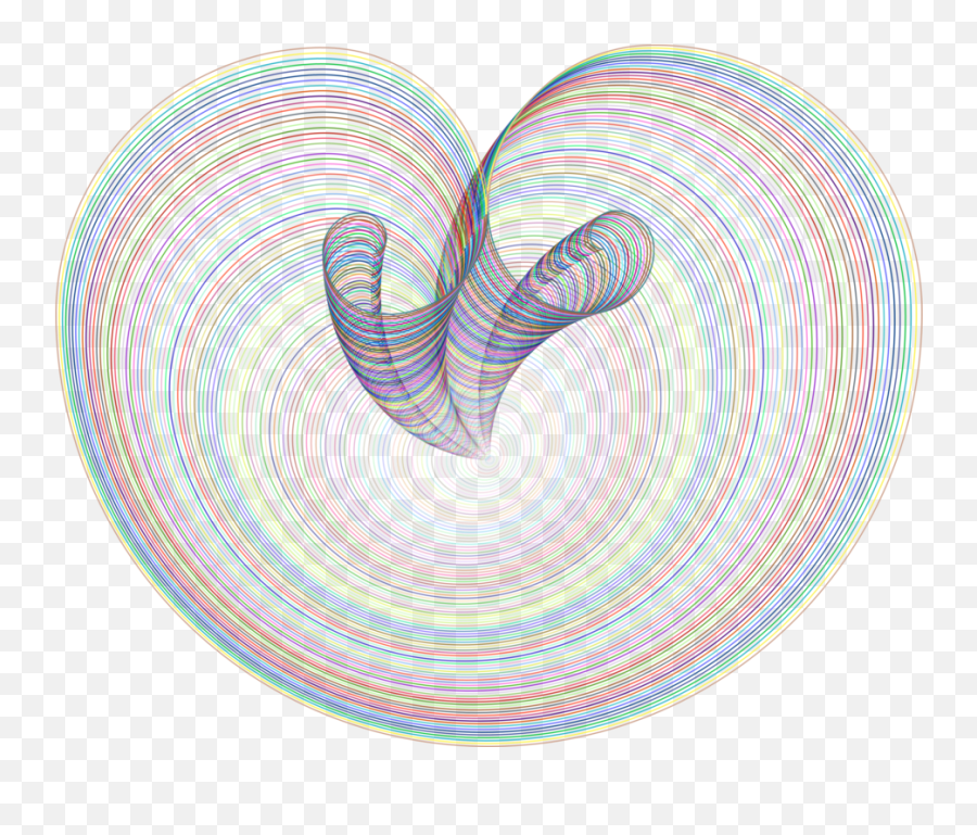 Nautilida Heart Organ Png Clipart - Circle,Heart Organ Png