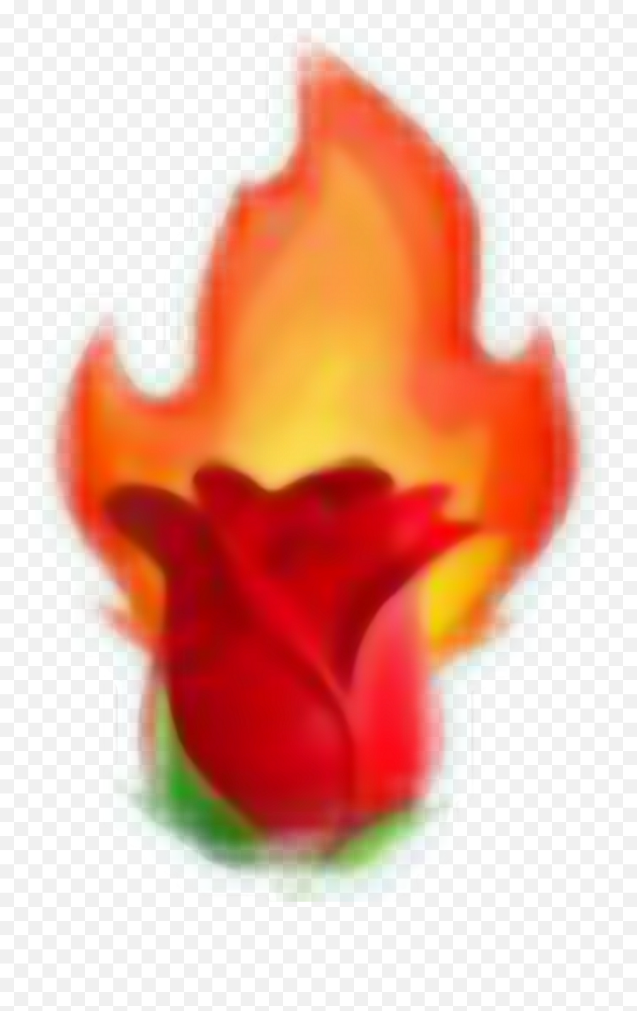 Rose Fire Tumblr Aesthetic Aestheticred Red Emojis - Tulip Png,Rose Emoji Png