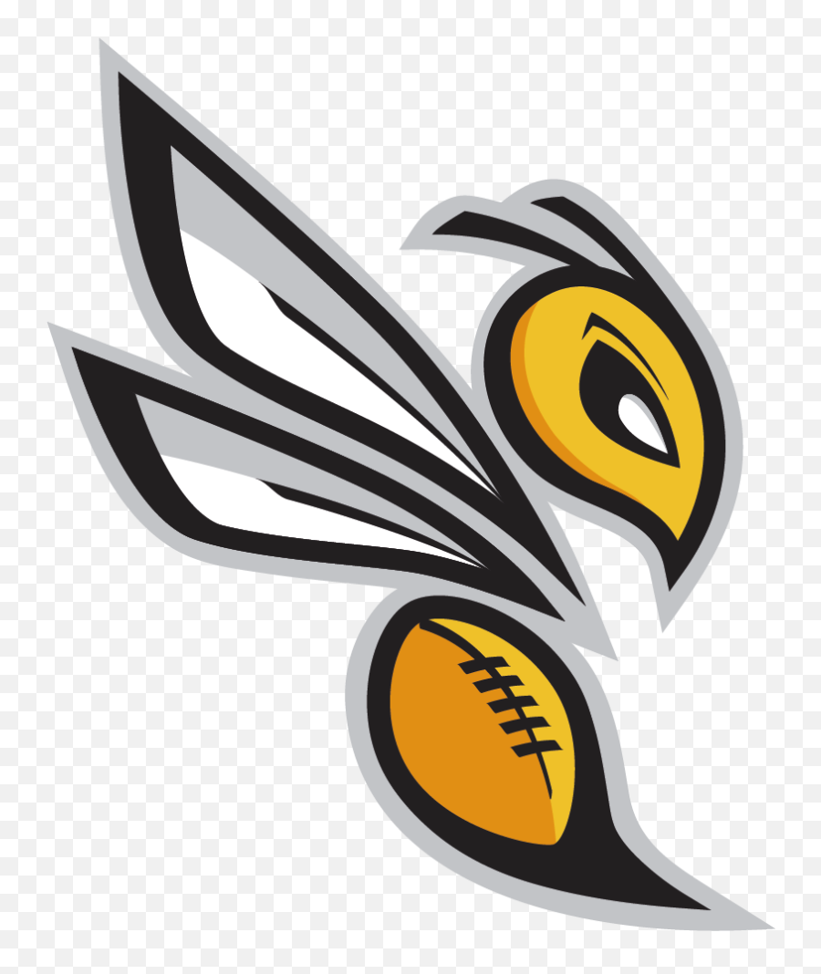 Download Logo - Hornet Logo Png,Hornets Logo Png