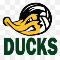 Ducks Volleyball U2013 Forever Family Fearless - Ducks Beach Volleyball Logo Png,Volleyball Logo