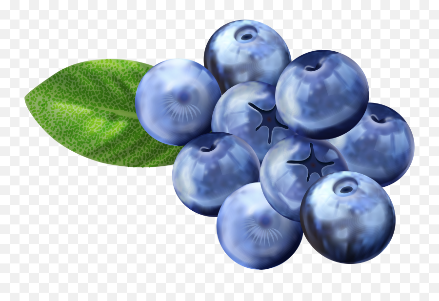 Download Hd Blueberry Clipart Png - Transparent Background Blueberry Clipart,Blueberry Transparent Background