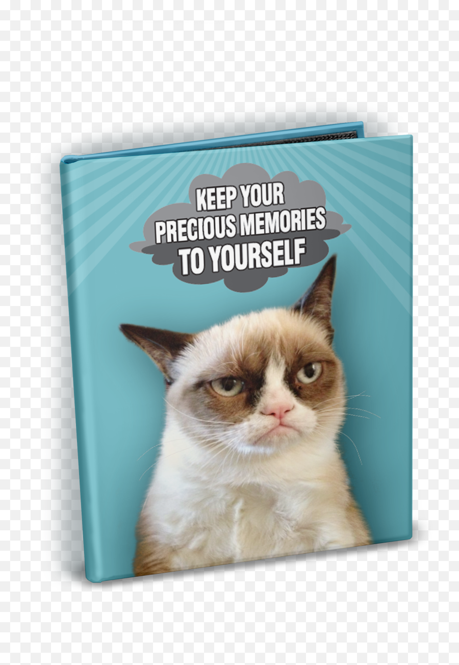 Download Grumpy Cat Your Precious - Domestic Cat Png,Grumpy Cat Png