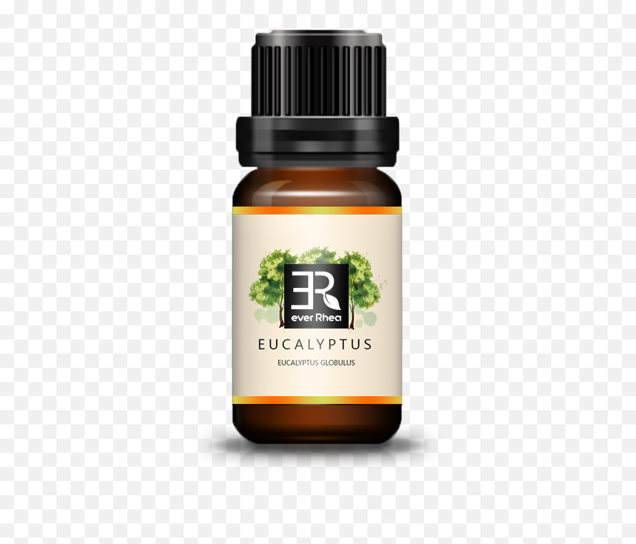 Ever Rhea Eucalyptus Essential Oil - Essential Oil Png,Eucalyptus Png