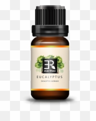 Ever Rhea Eucalyptus Essential Oil - Essential Oil Png,Eucalyptus Png