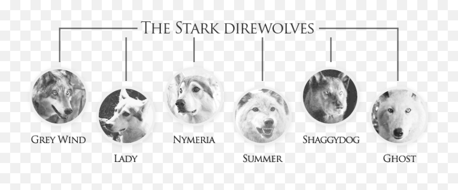 Dire Wolves Were Real And Much Scarier Game Of Thrones Wolves Names Png Free Transparent Png Images Pngaaa Com