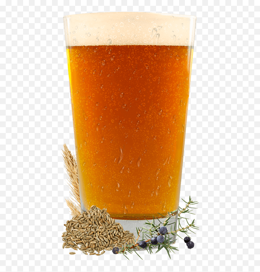 Nordic - Beer Glassware Png,Beer Foam Png