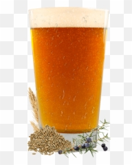 Nordic - Beer Glassware png